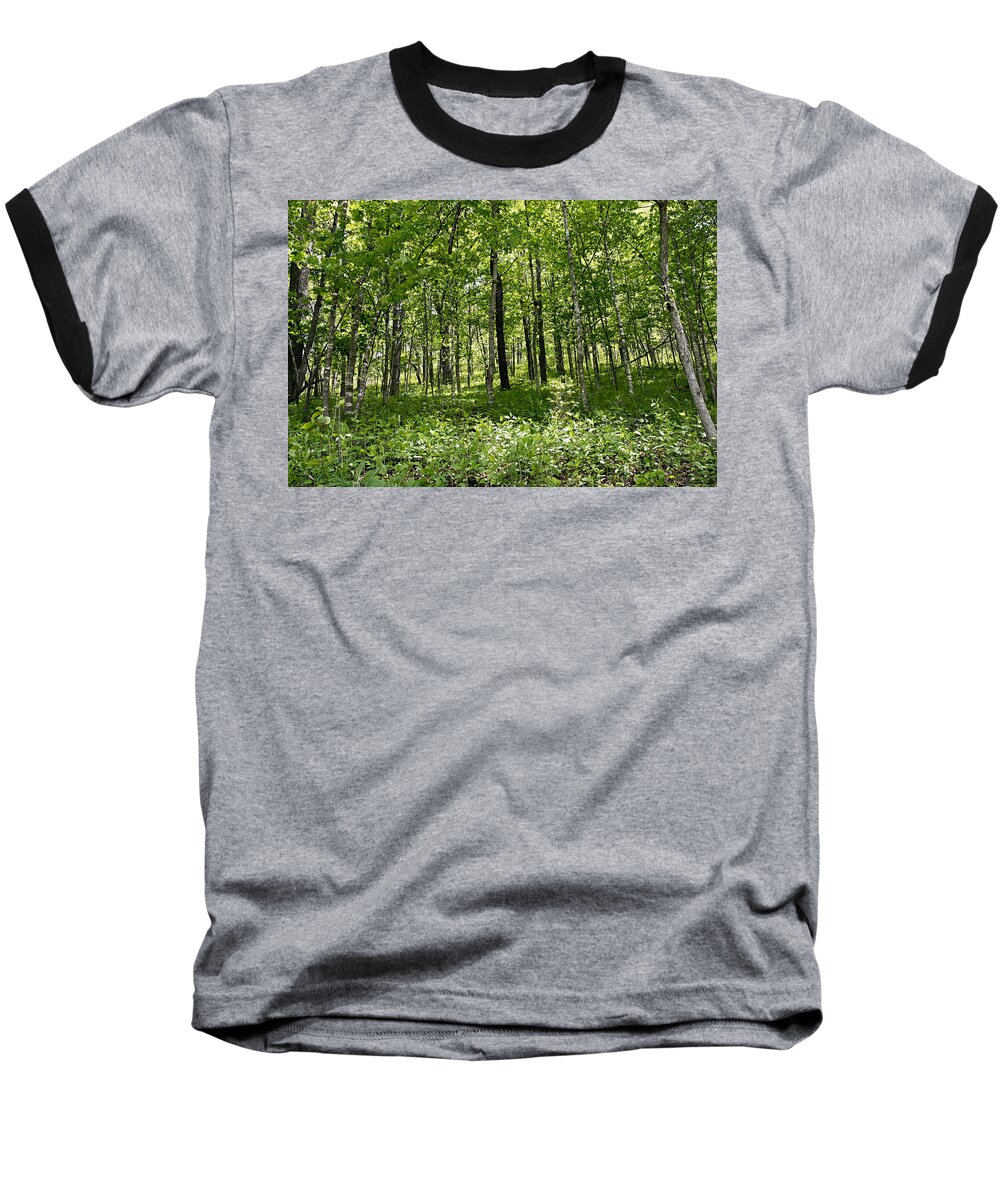 Beaver Creek Valley State Park Baseball T-Shirt featuring the photograph Spring Green by Larry Ricker