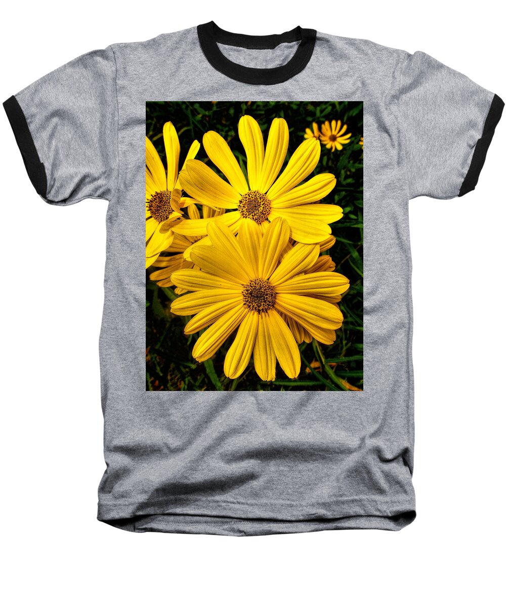 Fine Art Prints Baseball T-Shirt featuring the photograph Spring Has Come to Georgia by Dave Bosse