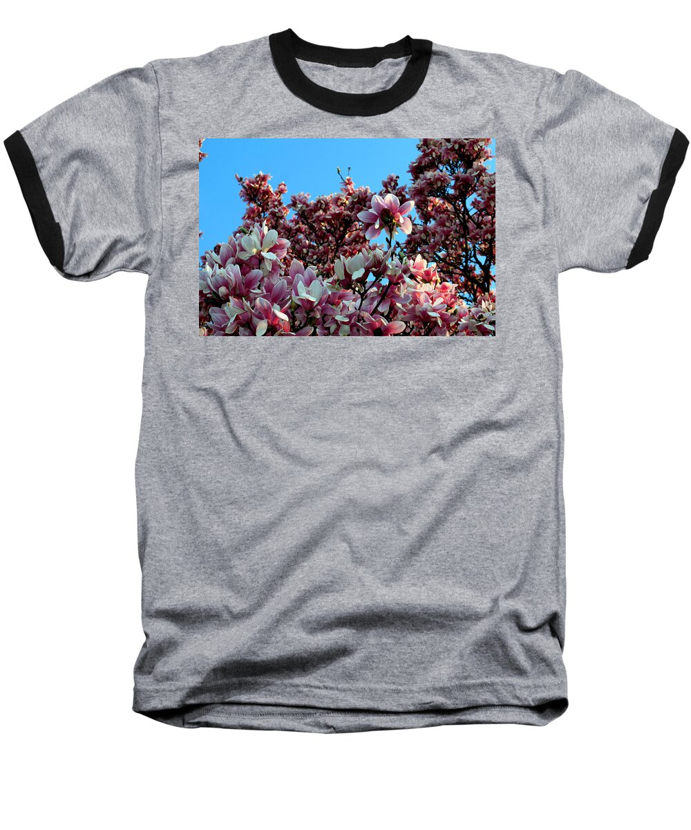 03.23.16_a Img_2091. Spring Is Here Baseball T-Shirt featuring the photograph Spring is here by Dorin Adrian Berbier