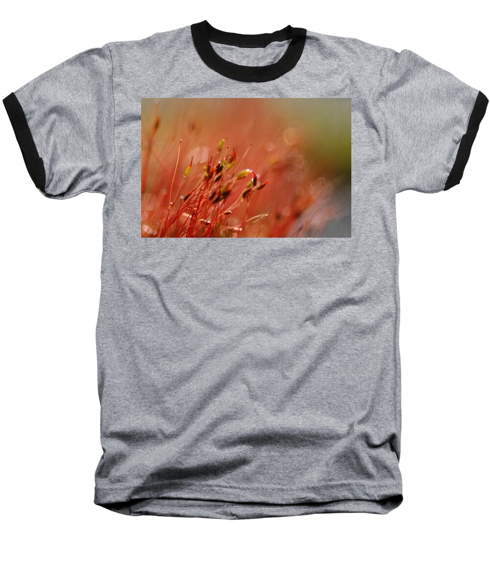 Spring Baseball T-Shirt featuring the photograph Spring Macro3 by Jeff Burgess