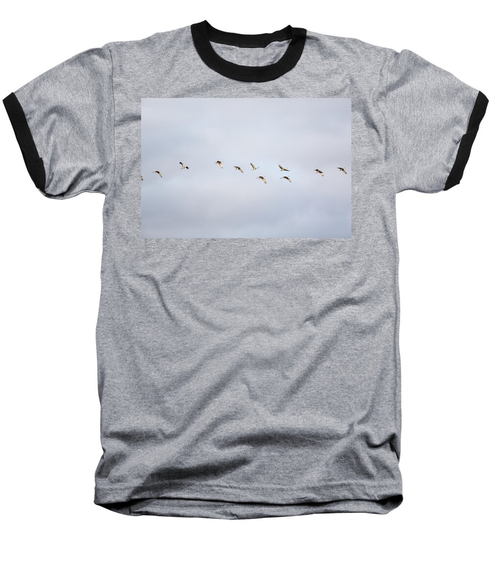 Sandhill Crane Baseball T-Shirt featuring the photograph Spring Migration 2 by Kathy Adams Clark