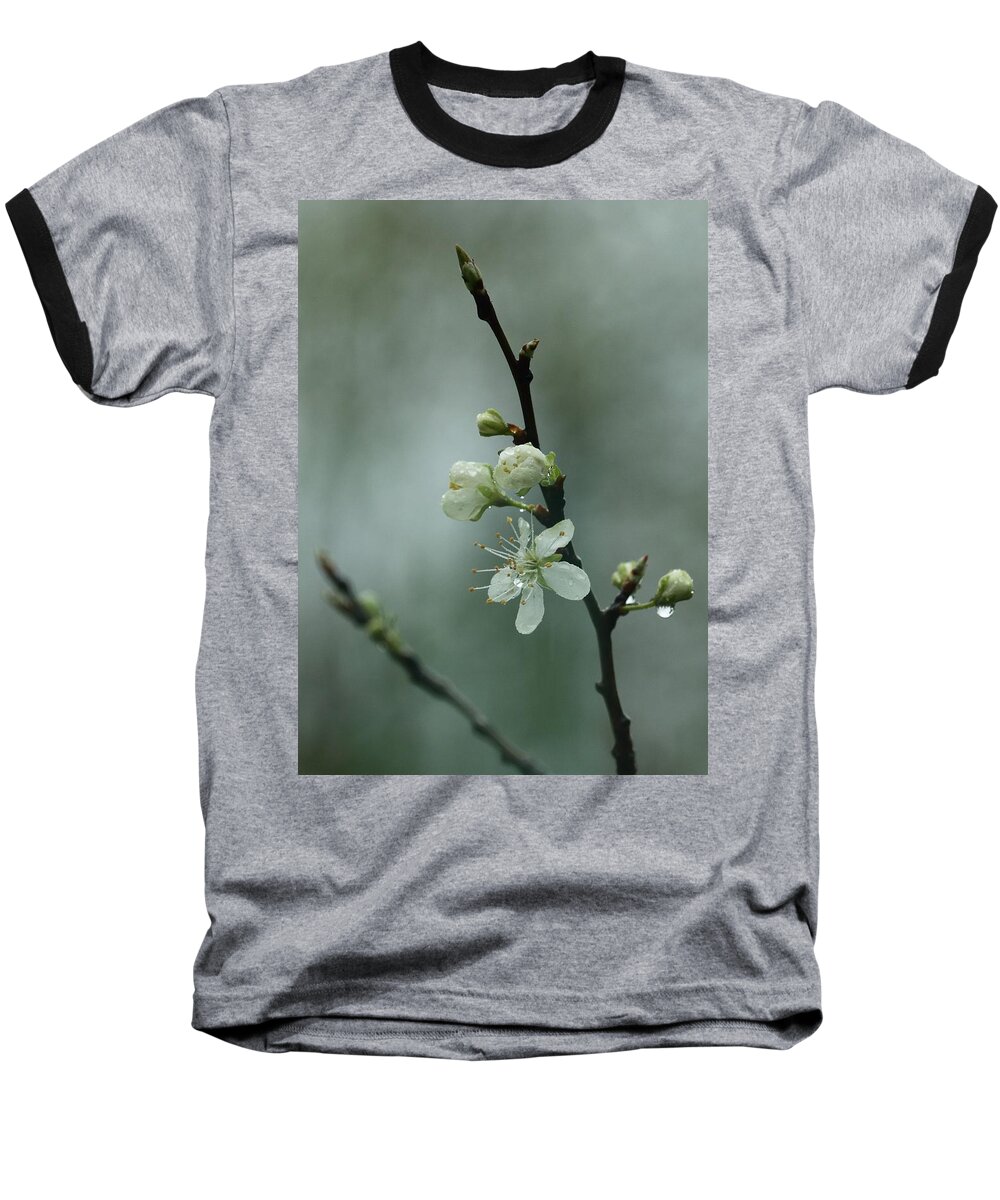 Spring Baseball T-Shirt featuring the photograph Spring Rain Mood by I'ina Van Lawick