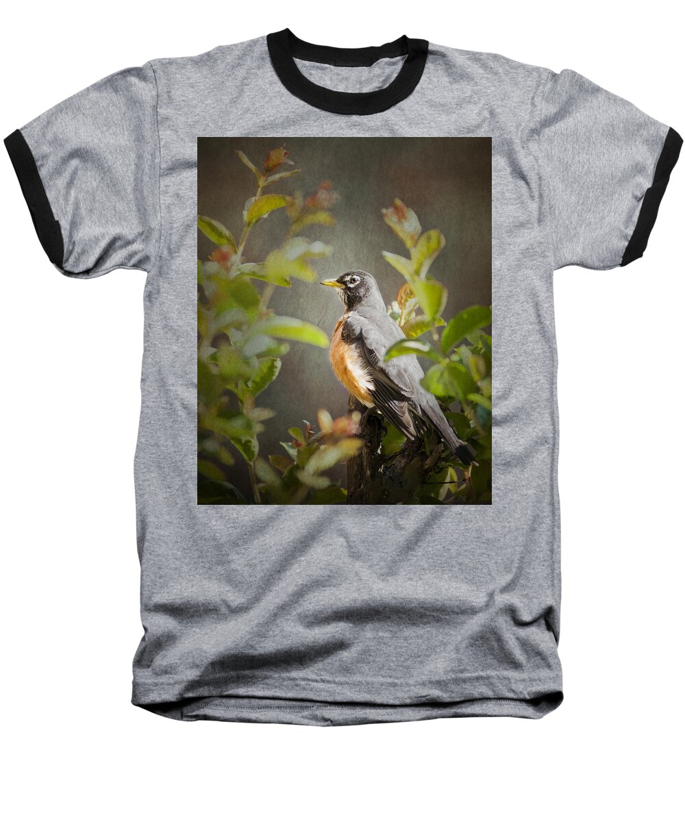 Bird Baseball T-Shirt featuring the photograph Spring Robin by Jeff Mize