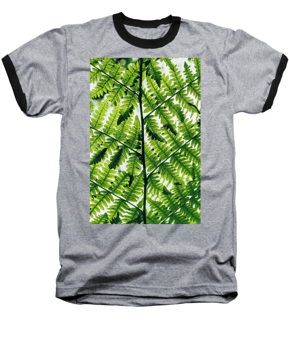 Nature Baseball T-Shirt featuring the photograph Spring Symmetry by Gene Garnace