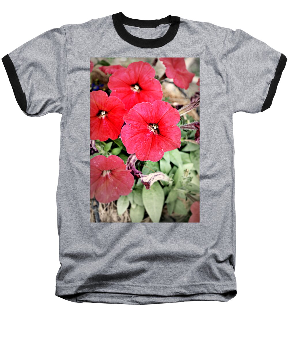 Flowers Baseball T-Shirt featuring the photograph Sprung Spring by Ally White