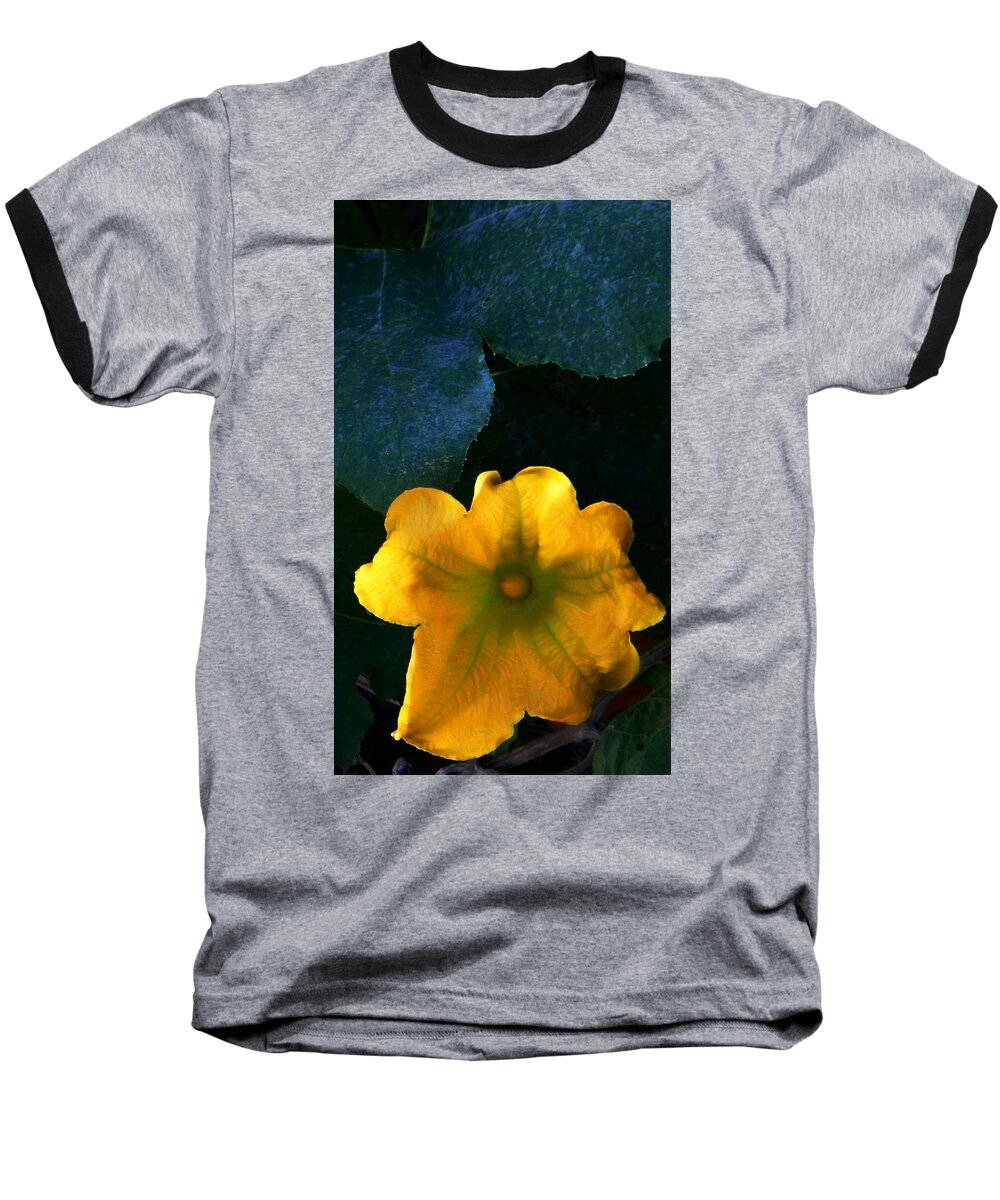 Colors Baseball T-Shirt featuring the photograph Squash Blossom by Lenore Senior