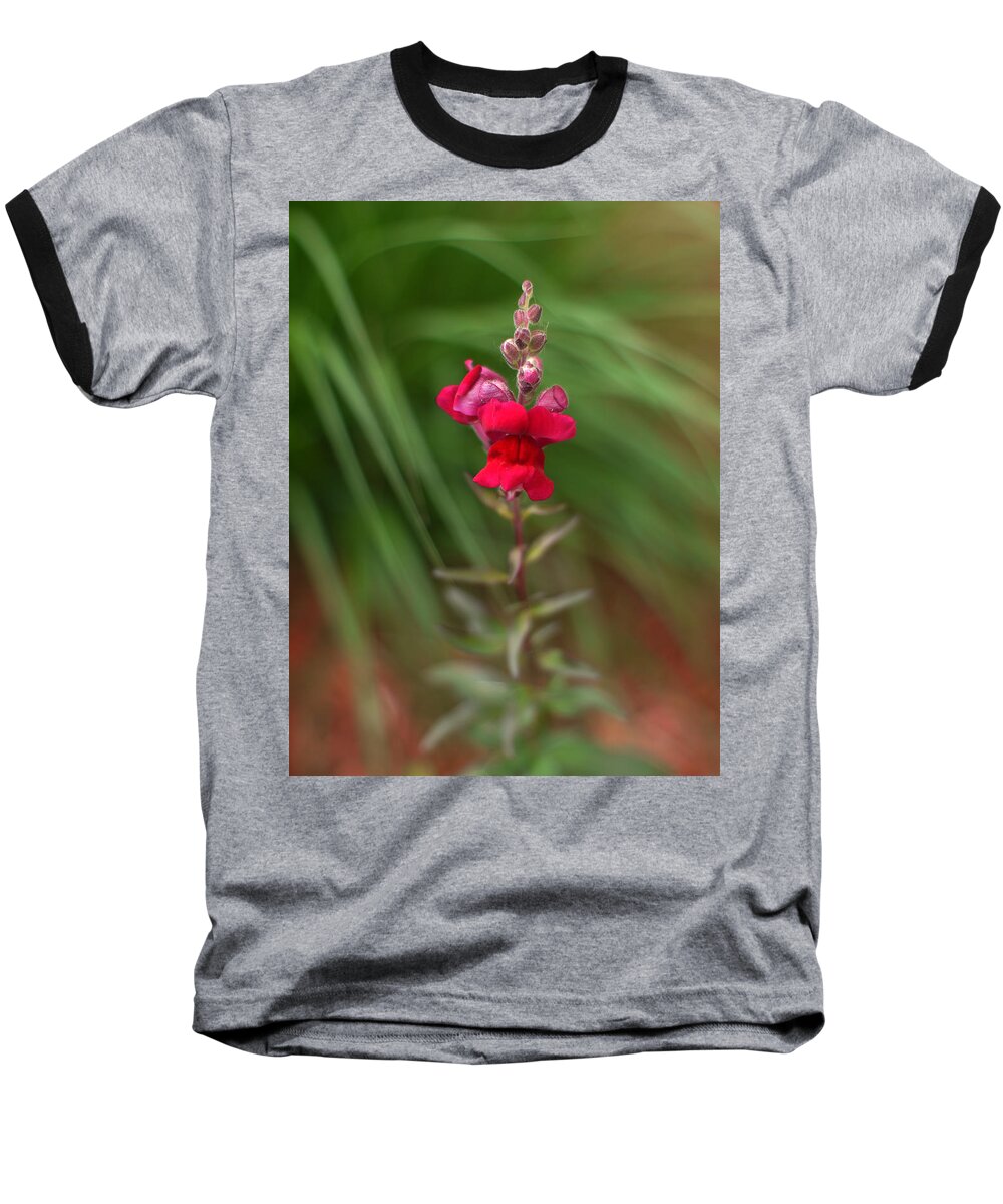Flower Baseball T-Shirt featuring the photograph St. Johns Park Flower 872 by Wesley Elsberry