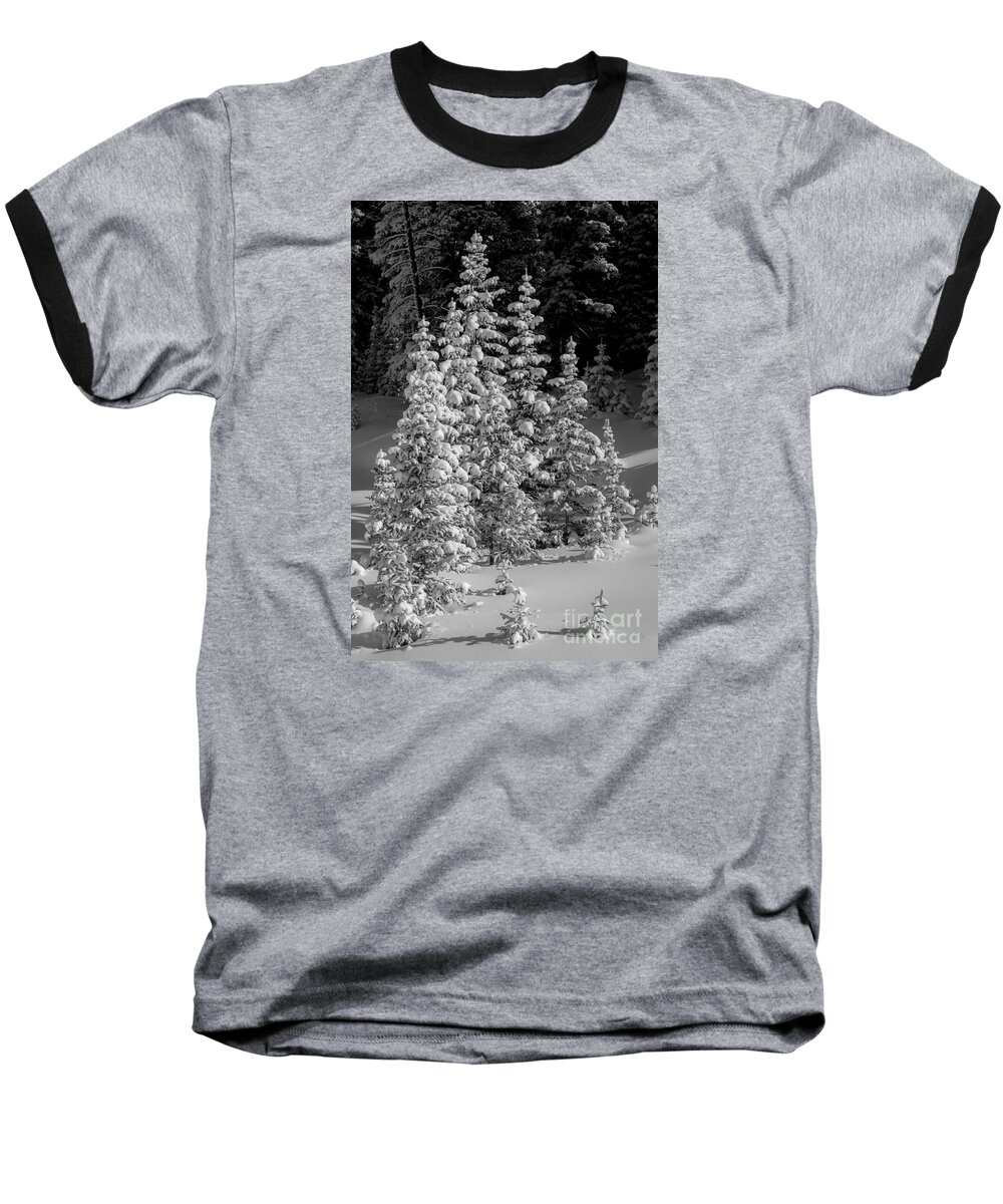 Snow Baseball T-Shirt featuring the photograph Standing Tall by Angela Moyer