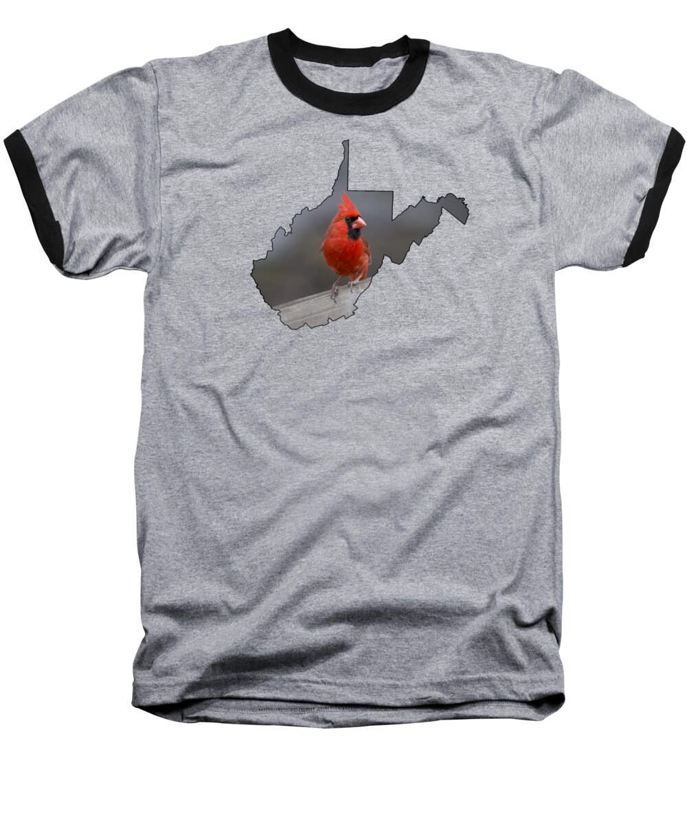 Male; Cardinal; Bird; Red; Posing; Outdoors; Nature Baseball T-Shirt featuring the photograph State bird of West Virginia by Dan Friend
