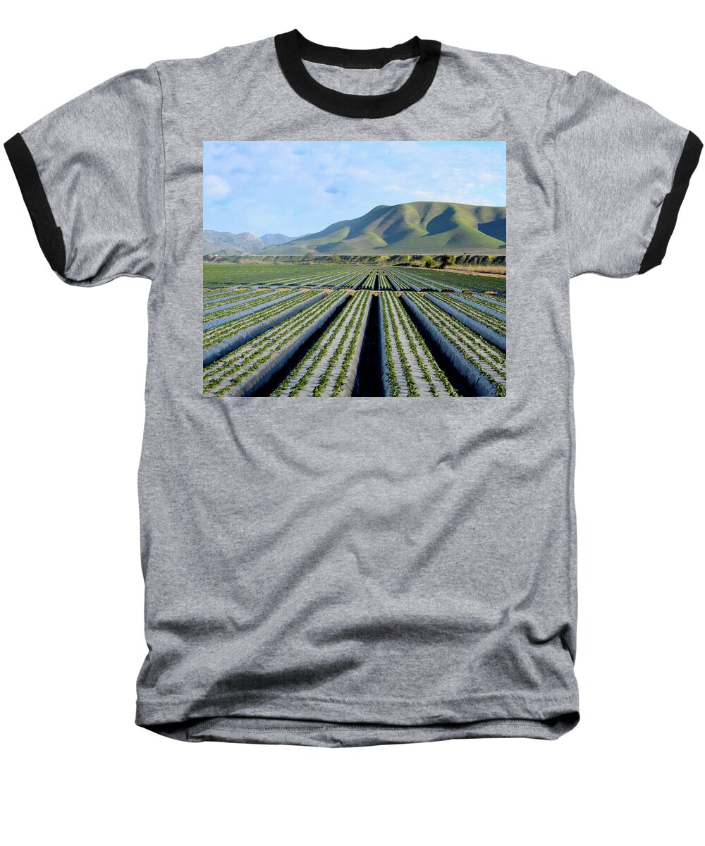 Farming Baseball T-Shirt featuring the photograph Strawberry Fields Forever by Floyd Snyder