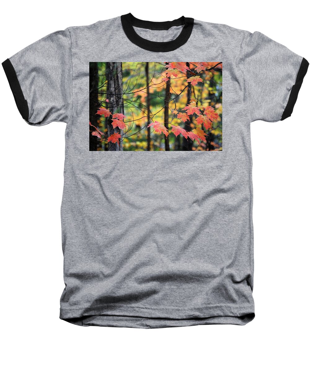 Leaves Baseball T-Shirt featuring the photograph Stringing Up the Colors by Sonja Jones