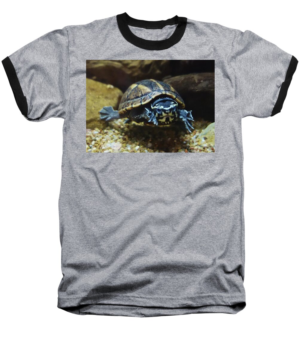 Striped Mud Turtle Baseball T-Shirt featuring the photograph Striped mud turtle by Joan Reese