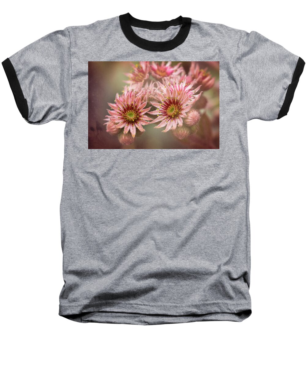 Succulent Flower Baseball T-Shirt featuring the photograph Succulent Flowers - 365-100 by Inge Riis McDonald