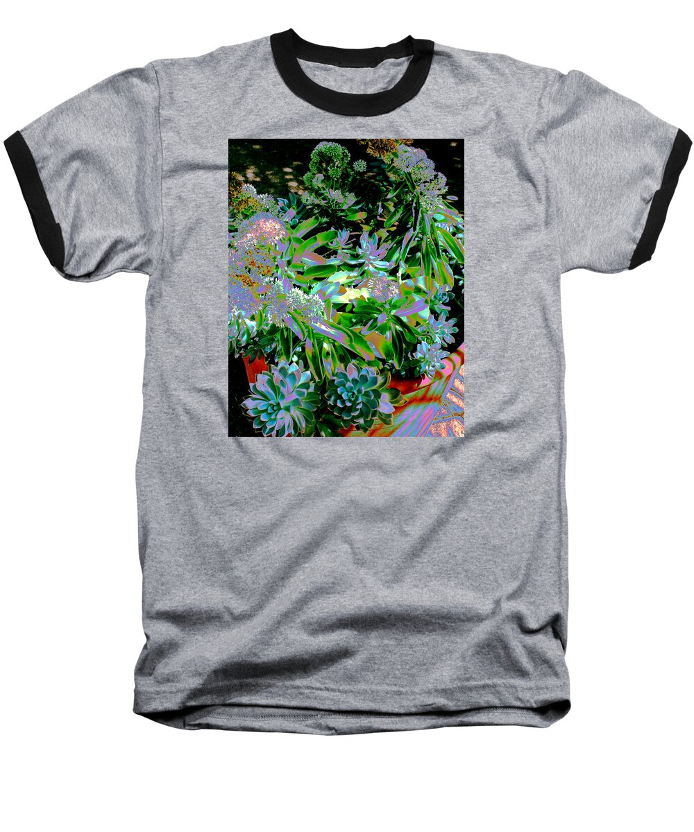 Plants Baseball T-Shirt featuring the photograph Succulent Pot by M Diane Bonaparte