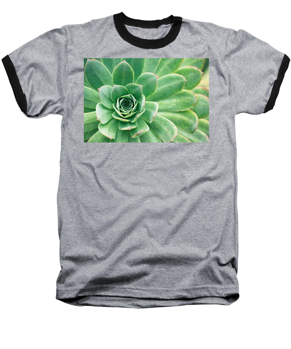 Plants Baseball T-Shirt featuring the photograph Succulents II by Angie Schutt