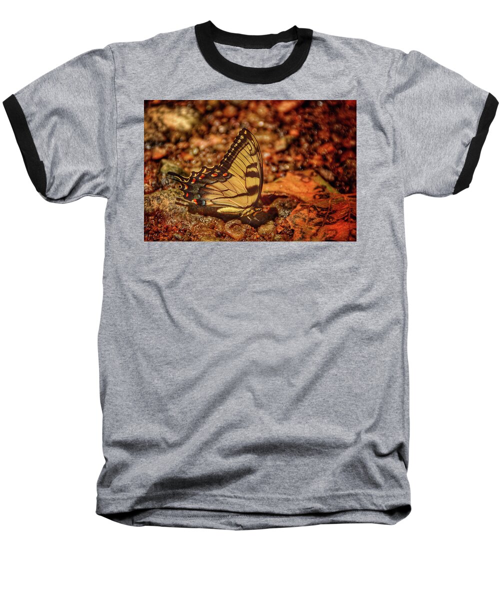 Bumblebee Baseball T-Shirt featuring the photograph Summer Breeze IV by Kathi Isserman