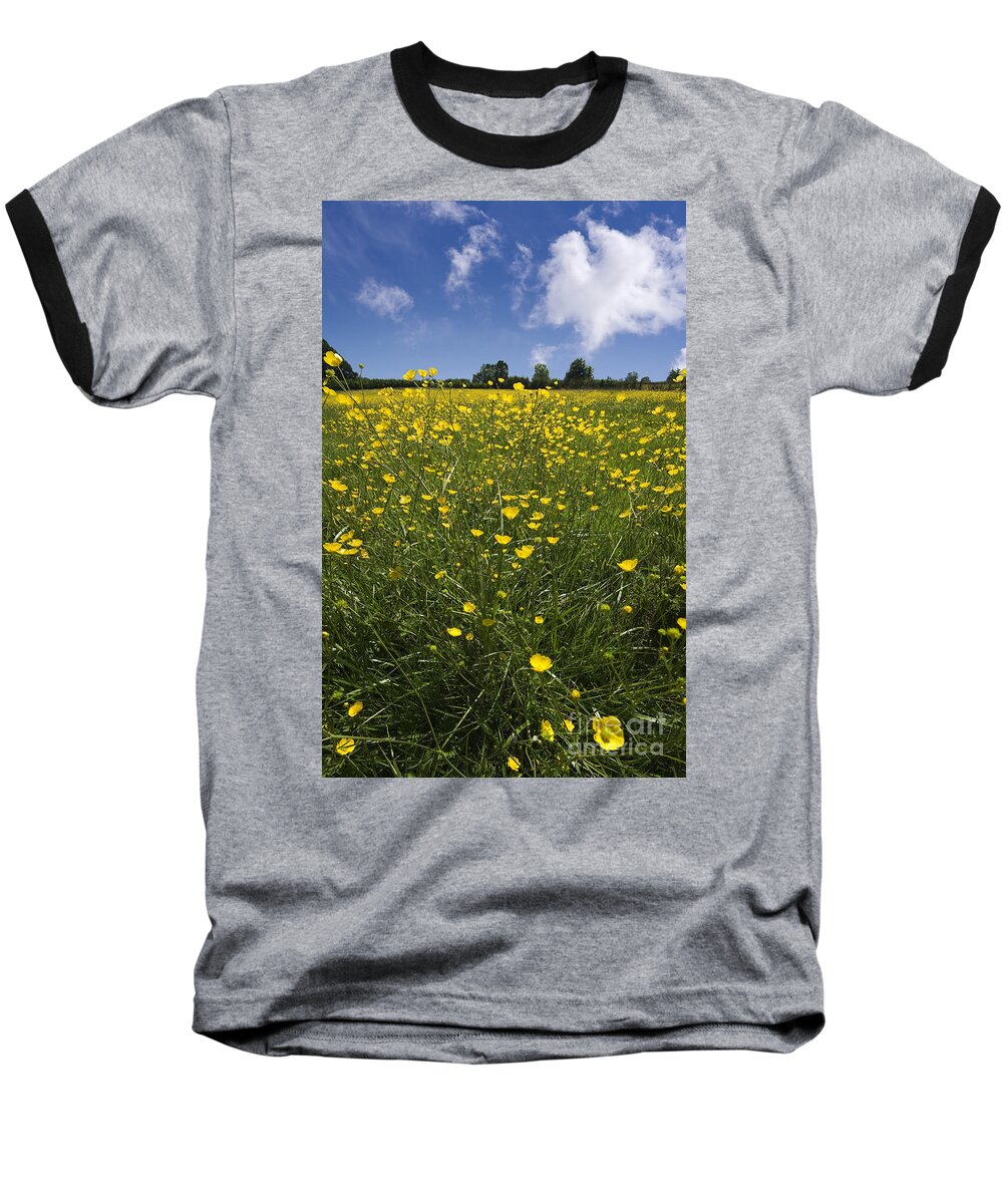 Agriculture Baseball T-Shirt featuring the photograph Summer Buttercups by Meirion Matthias