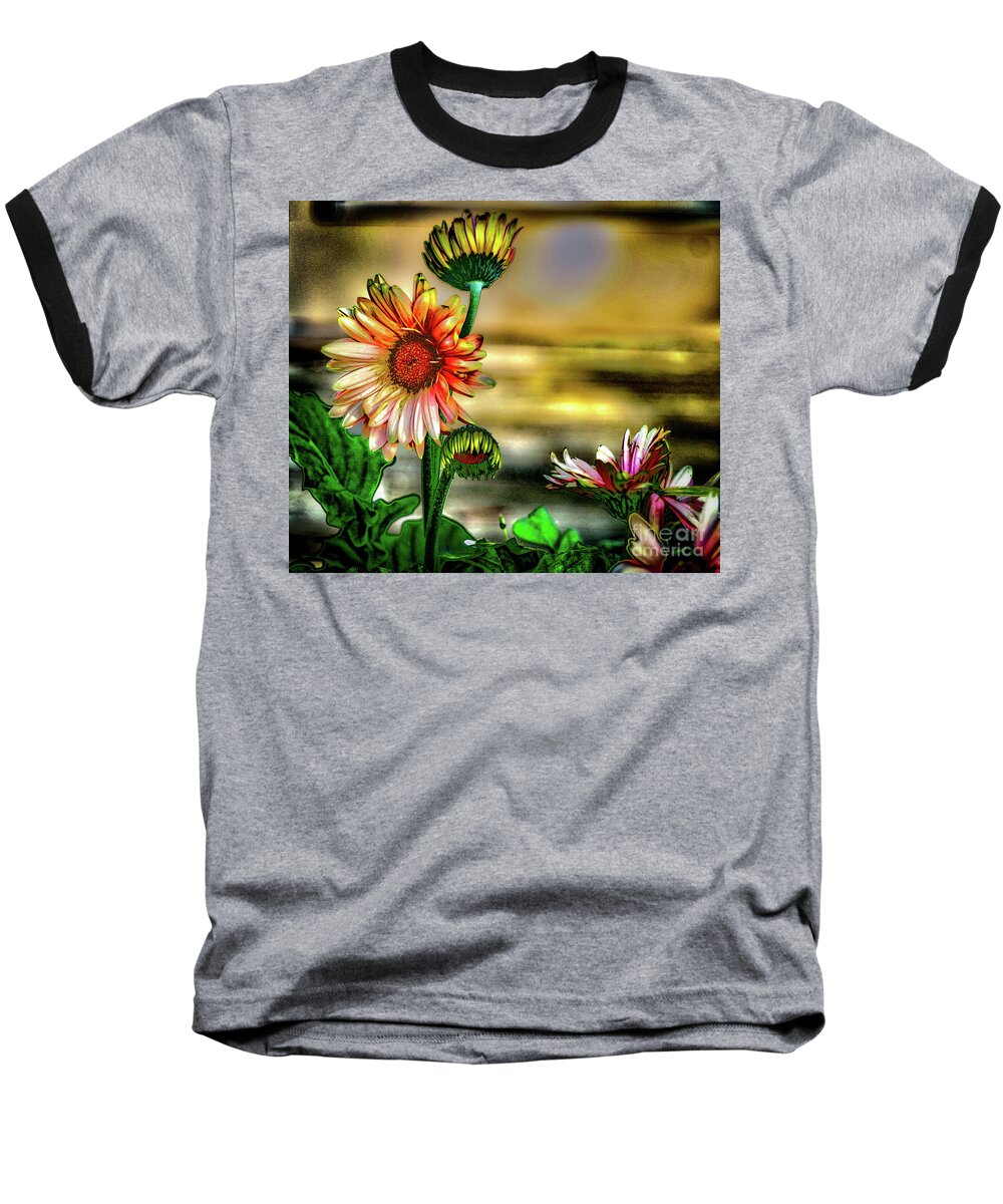 Flower Baseball T-Shirt featuring the photograph Summer Daisy by William Norton