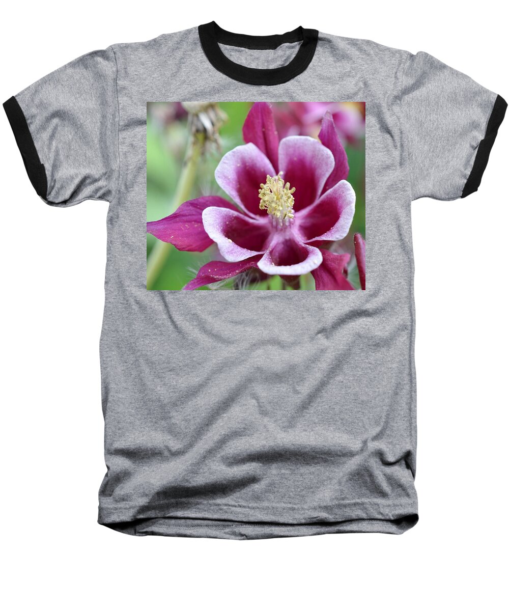 Flowers Baseball T-Shirt featuring the photograph Summer Flower-2 by Charles HALL