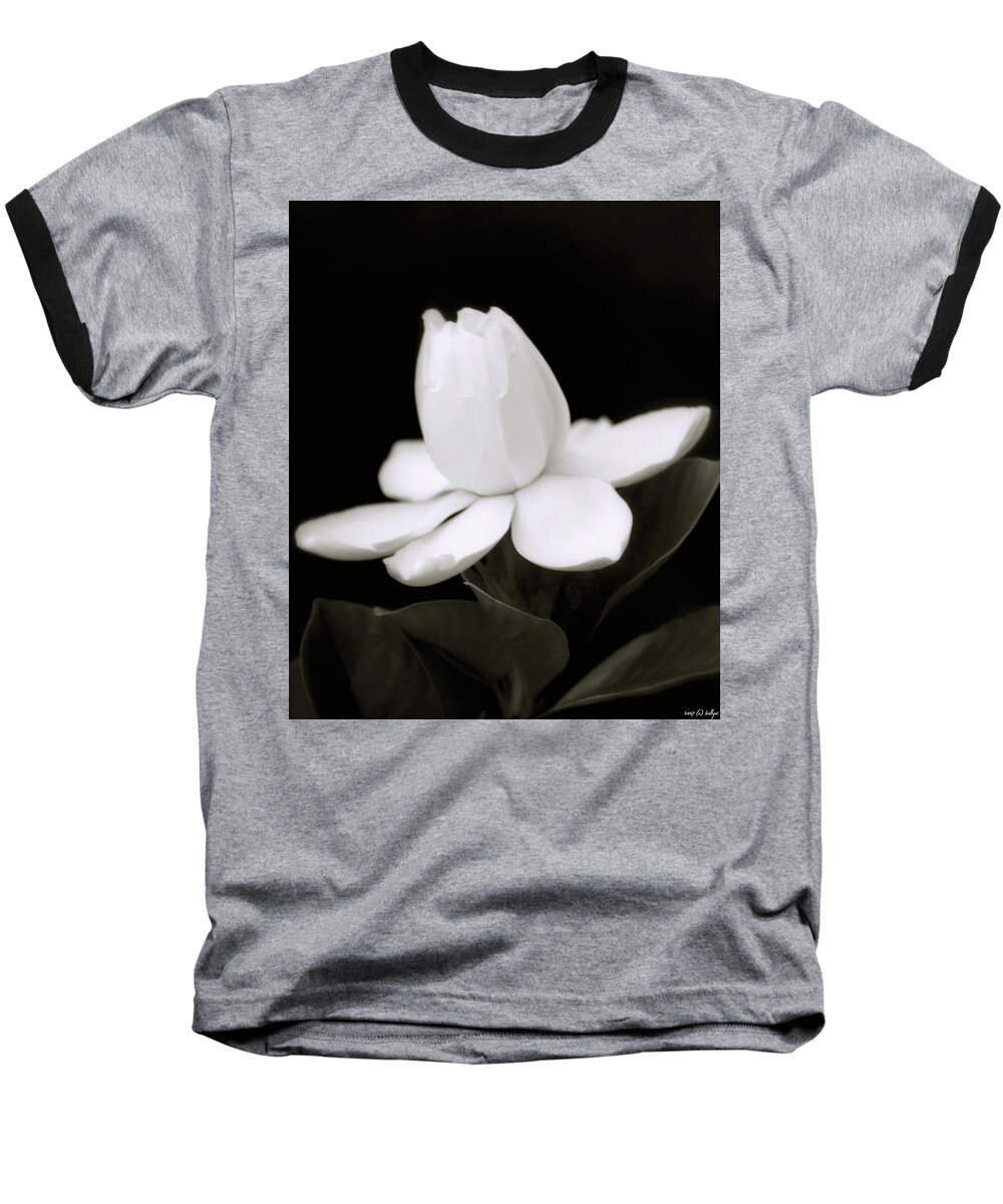 Flower Baseball T-Shirt featuring the photograph Summer Fragrance by Holly Kempe
