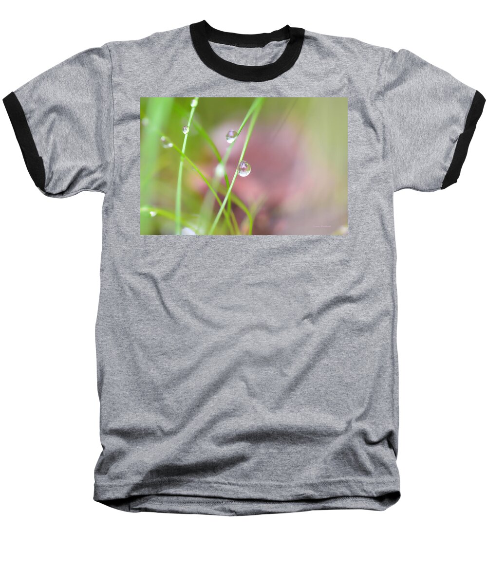 Dew Baseball T-Shirt featuring the photograph Summer Of Dreams by Donna Blackhall