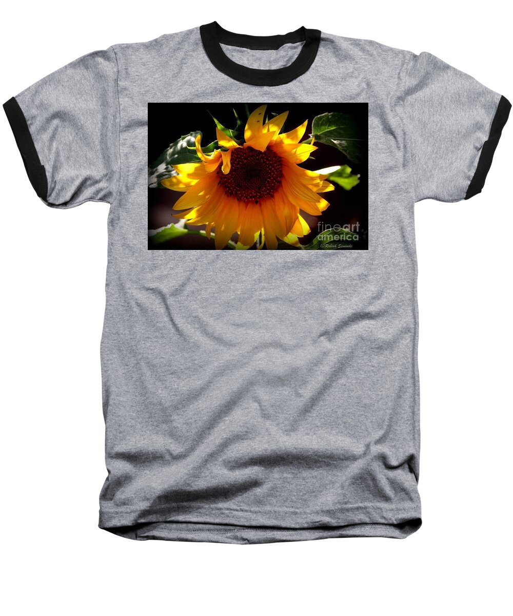Sunflower Baseball T-Shirt featuring the photograph Sun Dancer by Rabiah Seminole