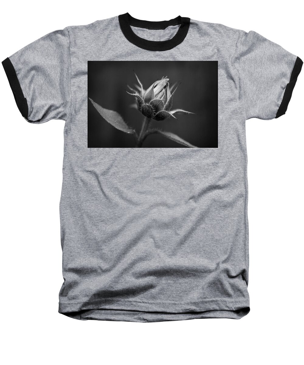 Sun Baseball T-Shirt featuring the photograph Sun Flower Blossom BW by Morgan Wright