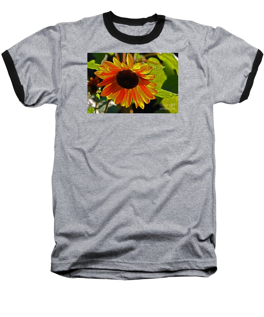 Flower Baseball T-Shirt featuring the photograph Sunflower 1 by David Frederick