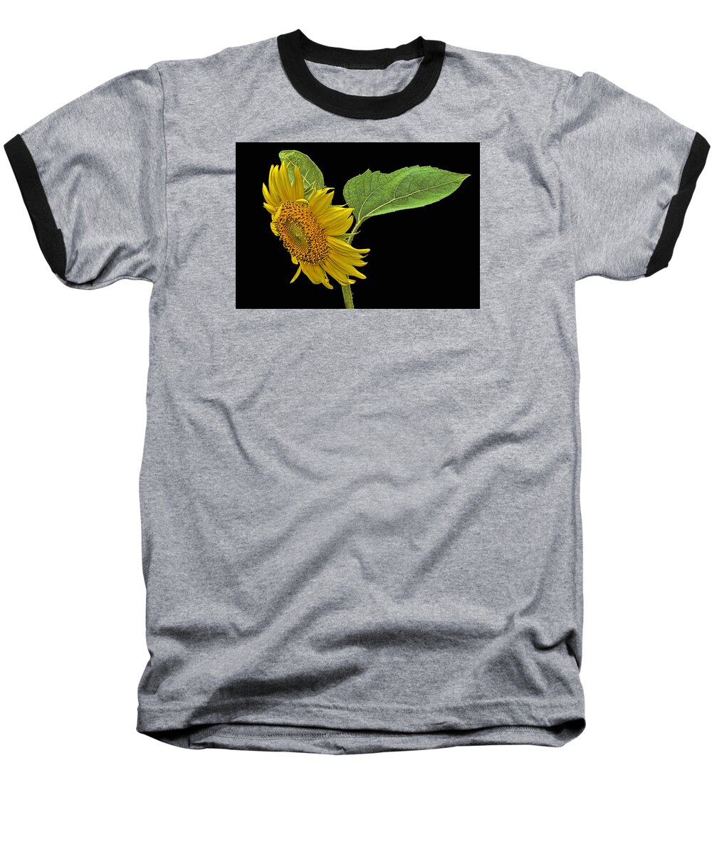 Sunflower Baseball T-Shirt featuring the photograph Sunflower by Don Durfee