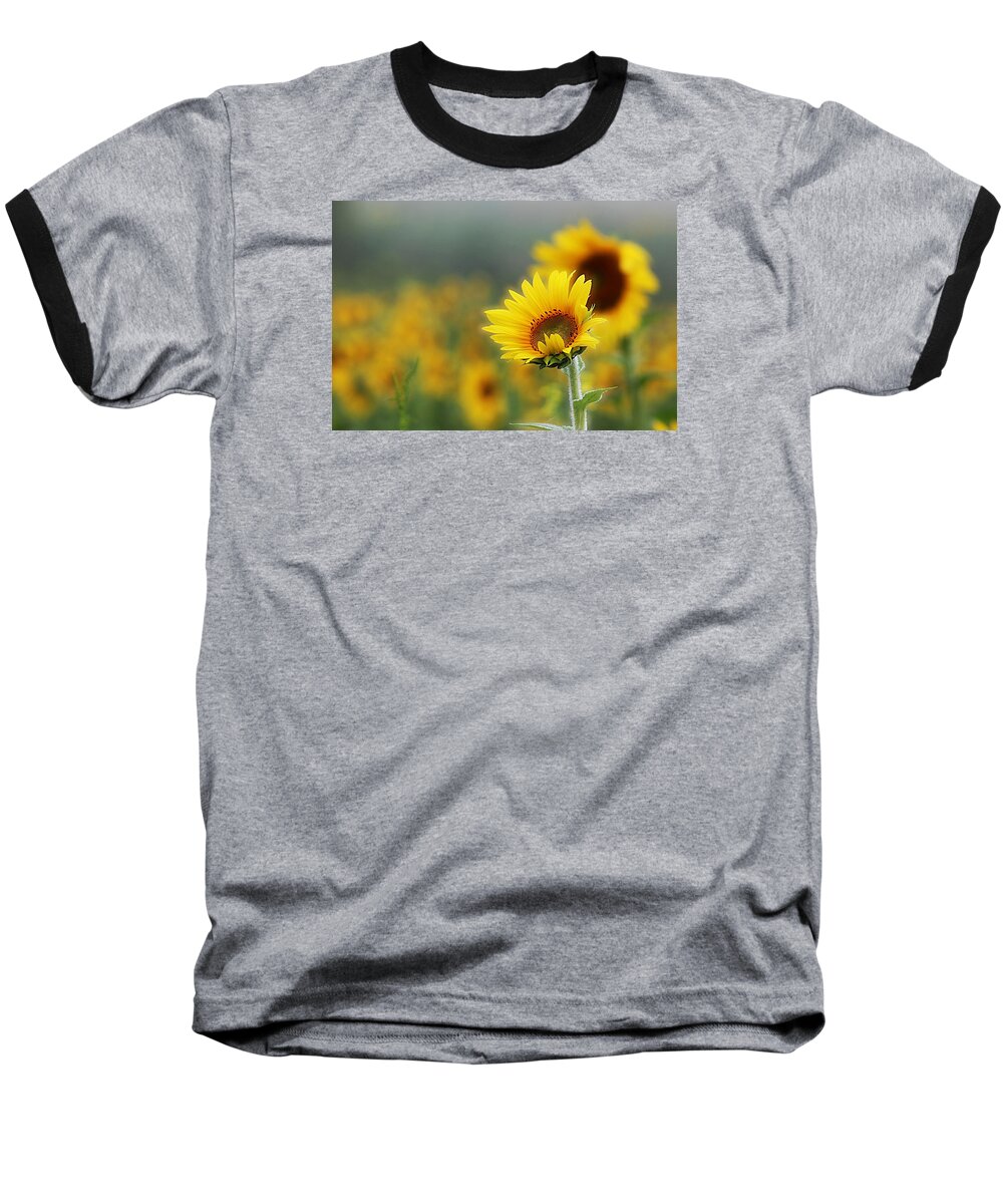 Sunflower Baseball T-Shirt featuring the photograph Sunflower Field by Karen McKenzie McAdoo