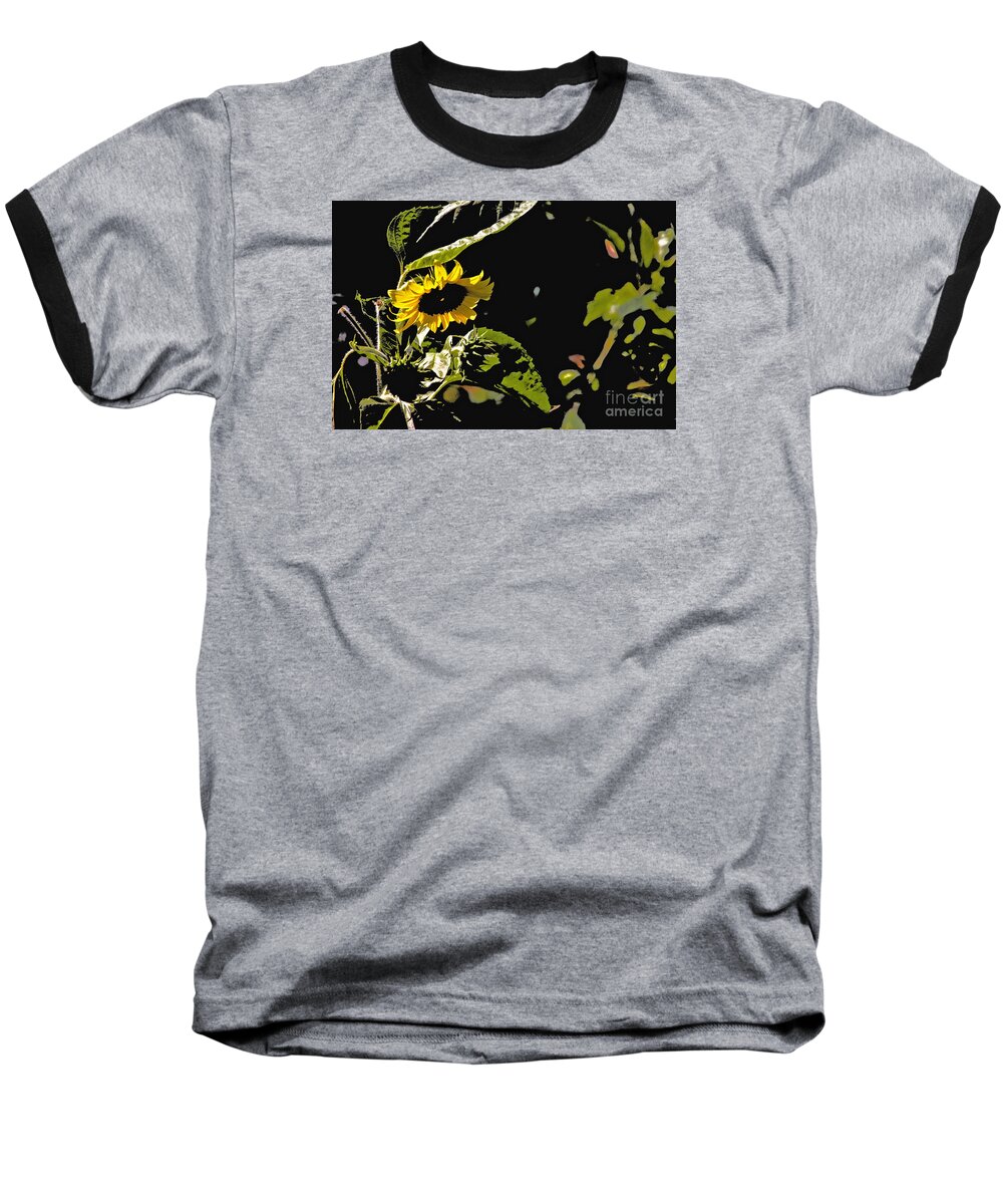  Baseball T-Shirt featuring the photograph Sunflower Looking Down by David Frederick