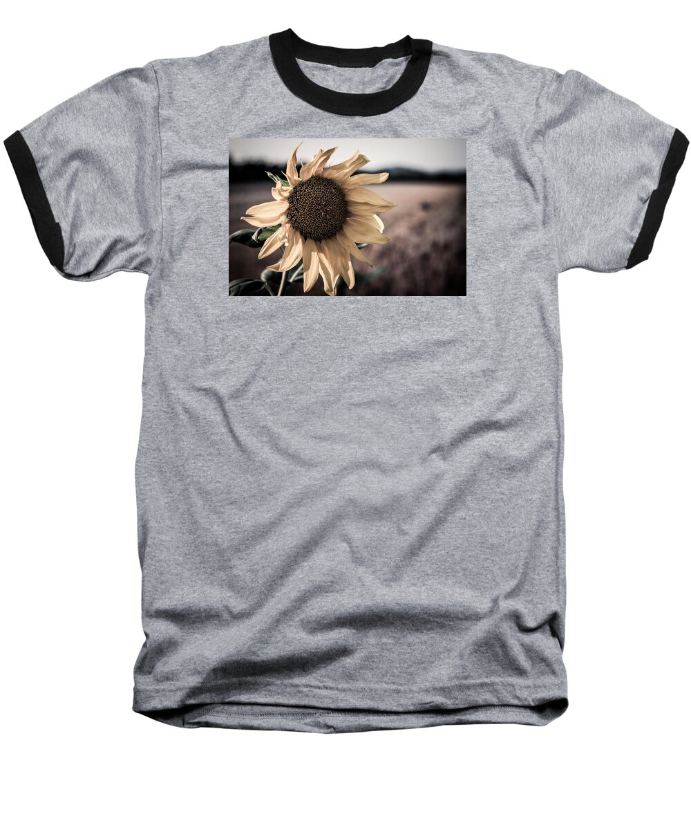Sunflower Baseball T-Shirt featuring the photograph Sunflower Solitude by Miguel Winterpacht