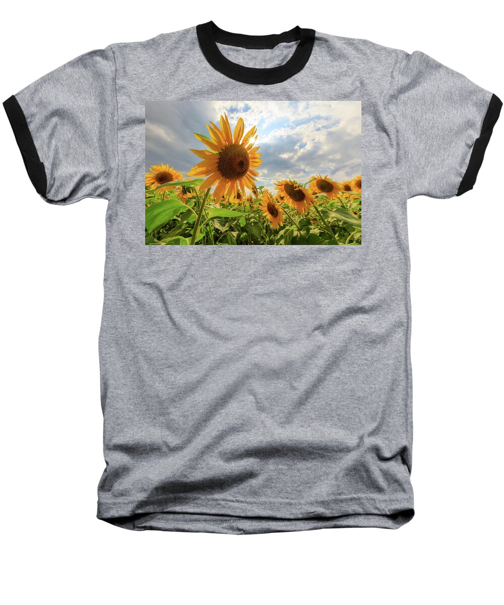 Sunflower Baseball T-Shirt featuring the photograph Sunflower Star by Rob Davies