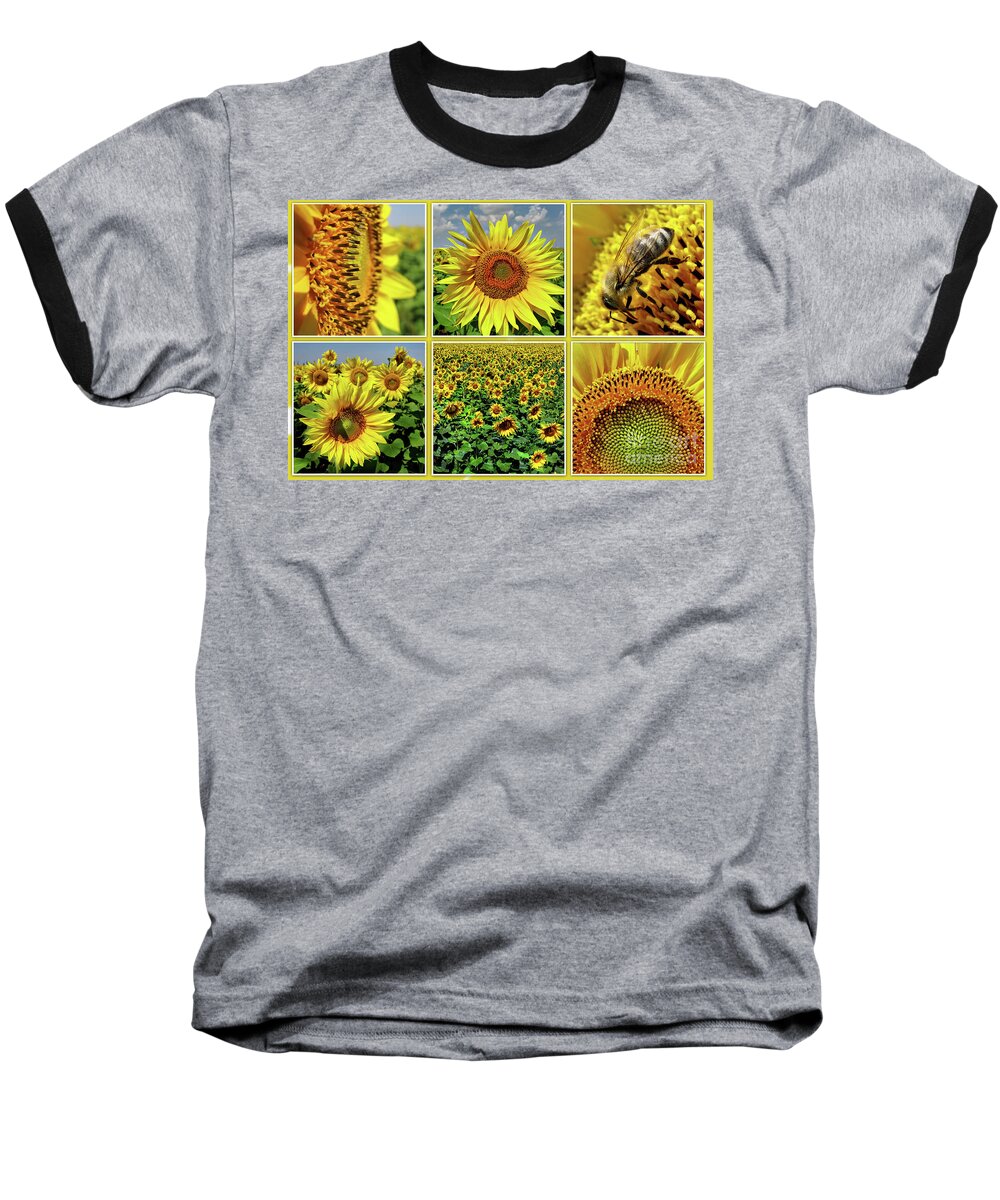 Sunflower Baseball T-Shirt featuring the photograph Sunflower Story - Collage by Daliana Pacuraru