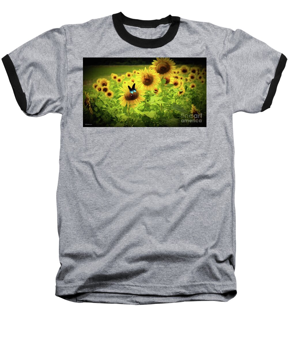 Sunflowers Baseball T-Shirt featuring the photograph Sunflowers in Memphis III by Veronica Batterson
