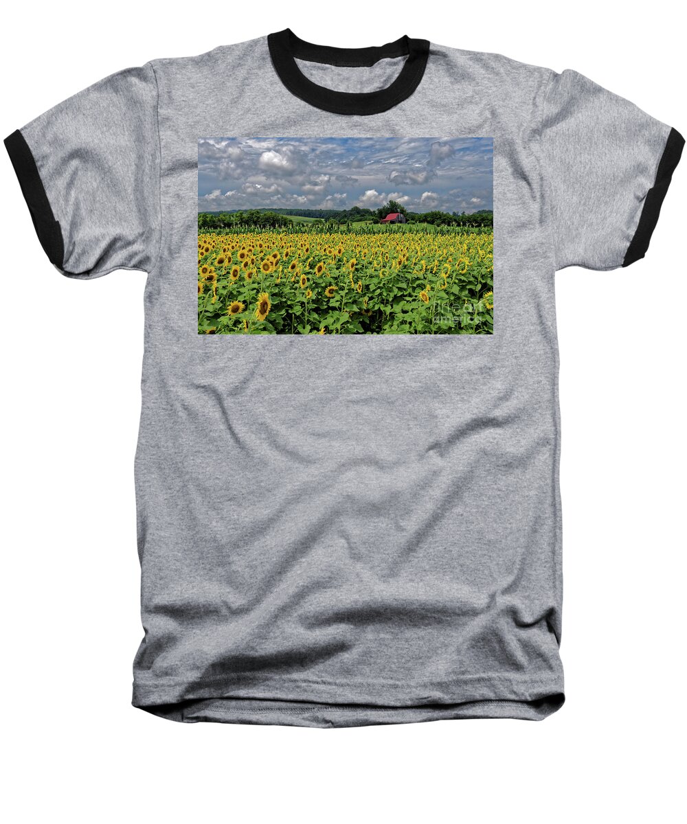 Sunflower Baseball T-Shirt featuring the photograph Sunflowers With Barn by Paul Mashburn