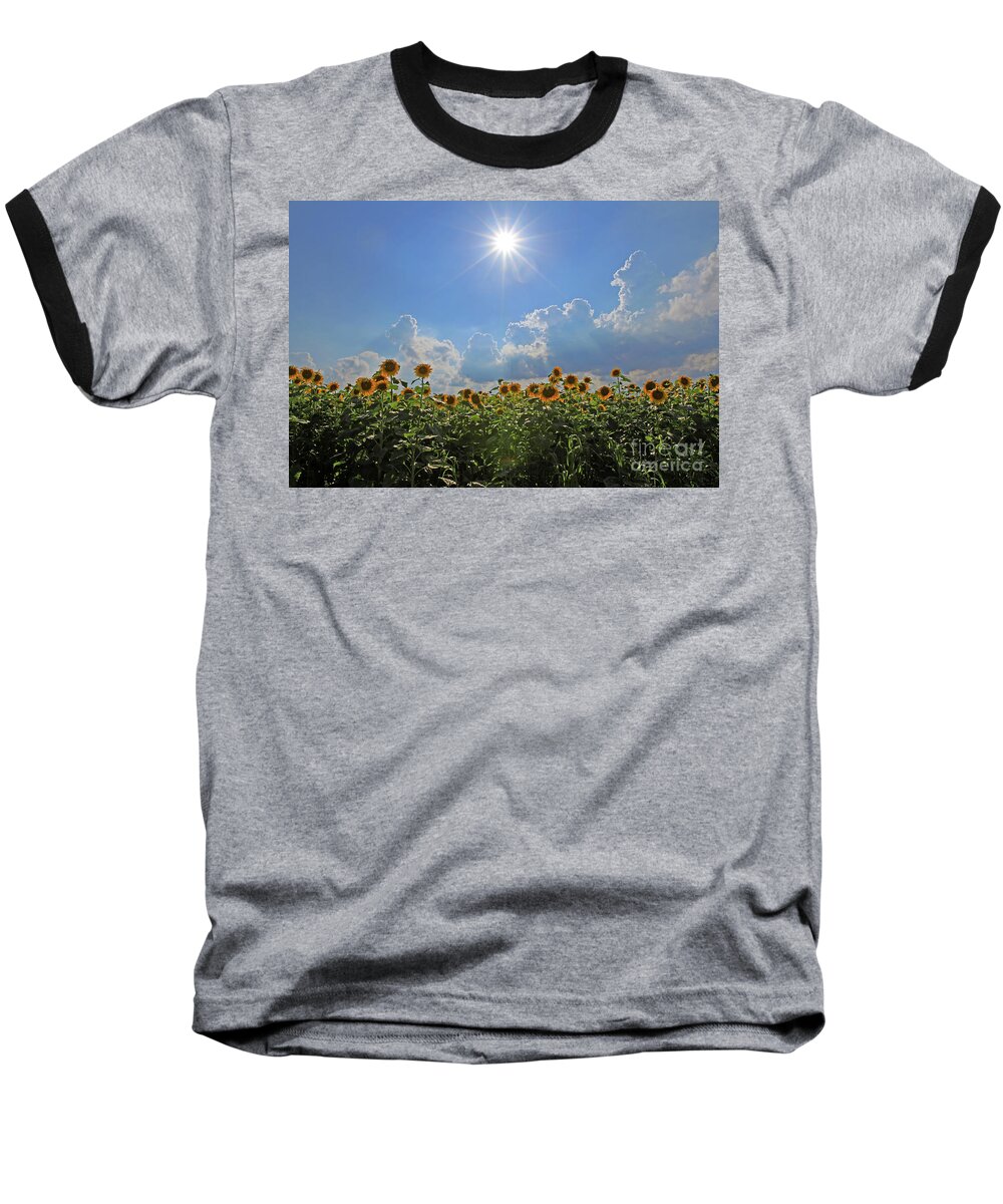 Sunflowers With Sun And Clouds Baseball T-Shirt featuring the photograph Sunflowers with Sun and Clouds 1 by Paula Guttilla