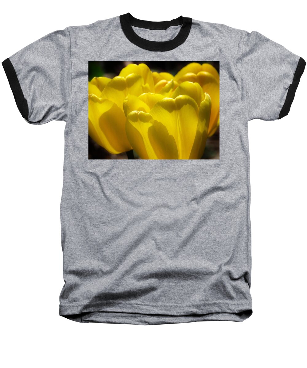 Tulips Baseball T-Shirt featuring the photograph Sunny Yellow Tulips by Lori Frisch