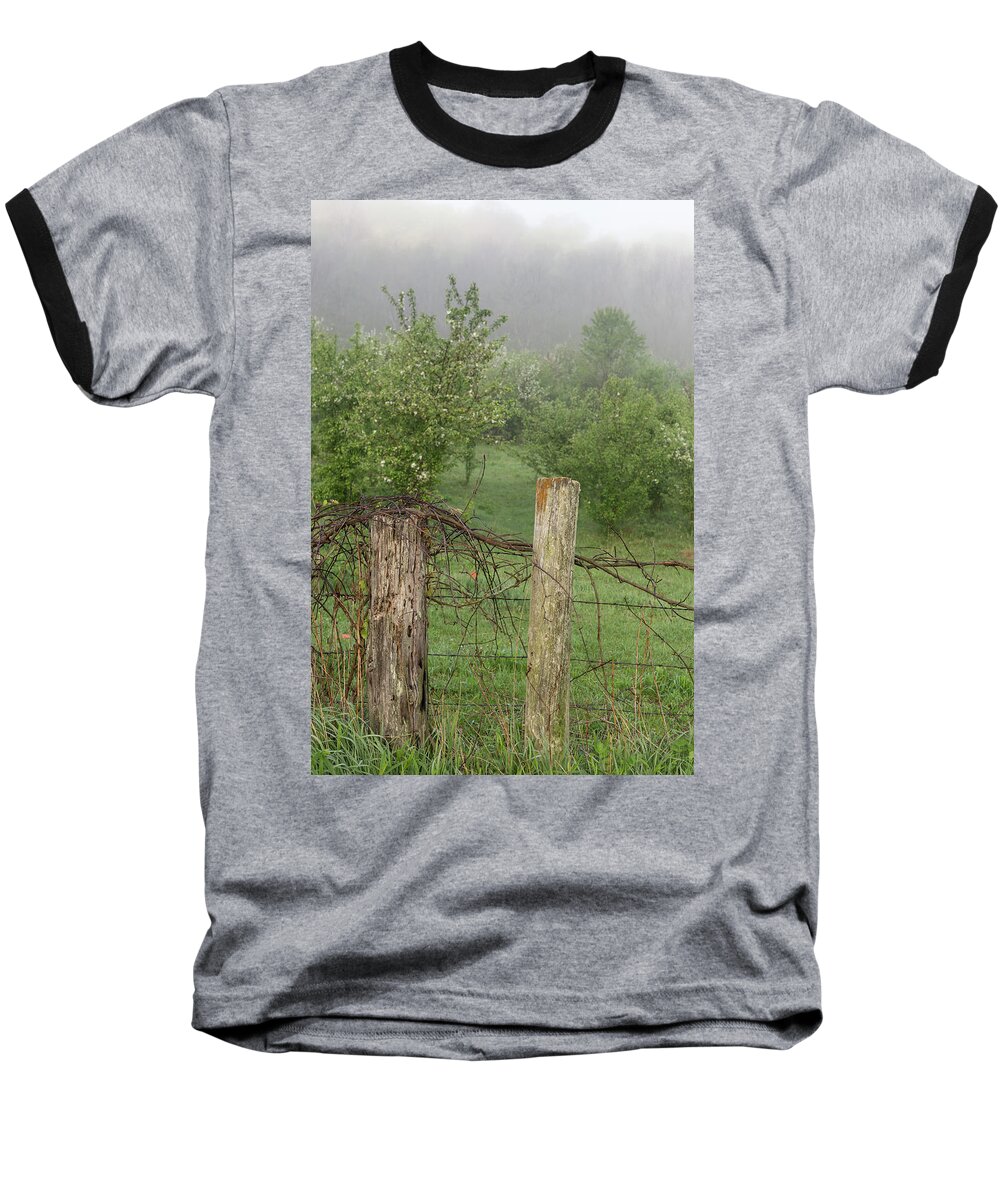 Apple Blossoms Baseball T-Shirt featuring the photograph Sunrise on the Apple Orchard 2018-1 by Thomas Young