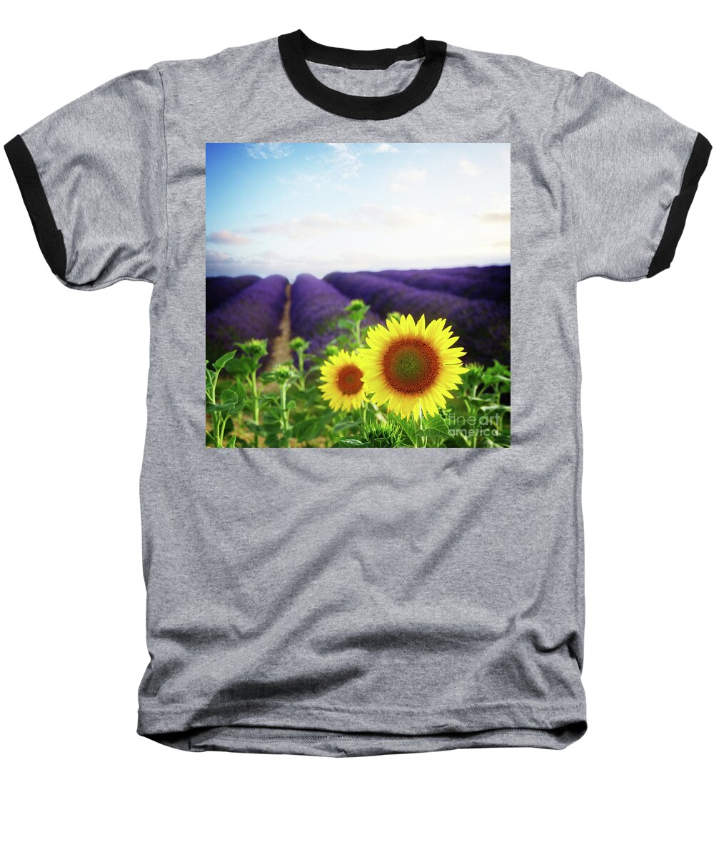 Lavender Baseball T-Shirt featuring the photograph Sunrise over Sunflower and Lavender Field by Anastasy Yarmolovich