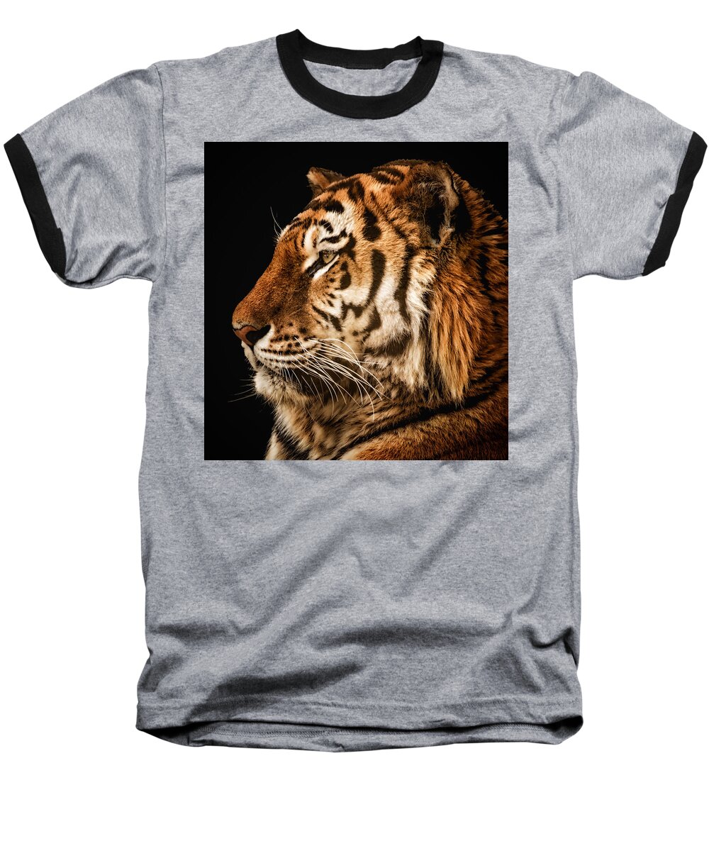 Tiger Baseball T-Shirt featuring the photograph Sunset Tiger by Chris Boulton