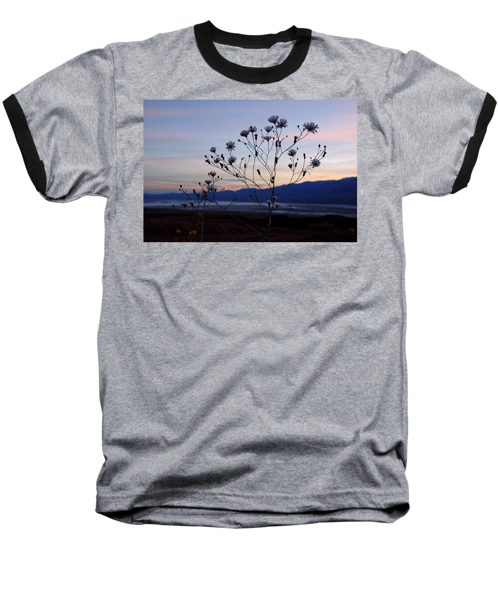 Superbloom 2016 Baseball T-Shirt featuring the photograph Superbloom Sunset in Death Valley 102 by Daniel Woodrum
