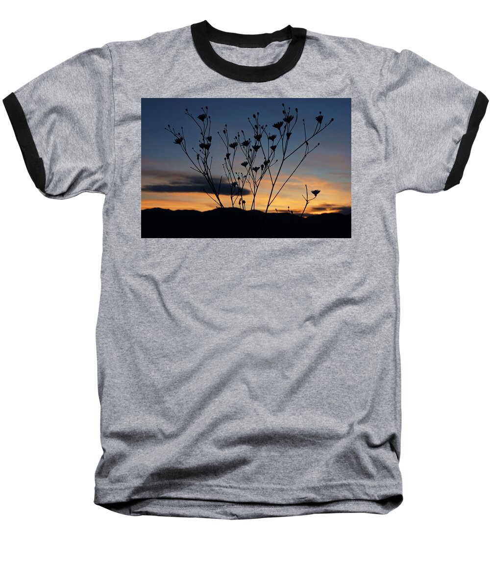 Superbloom 2016 Baseball T-Shirt featuring the photograph Superbloom Sunset in Death Valley 103 by Daniel Woodrum