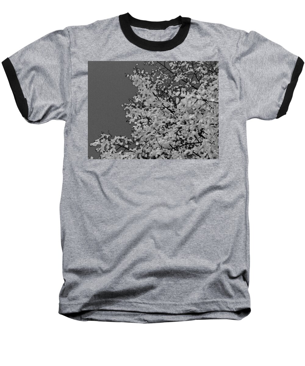 Noir Baseball T-Shirt featuring the photograph Surreal Deconstruction of Fall Foliage in Noir by Michael Oceanofwisdom Bidwell