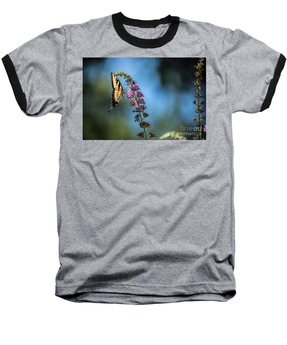 Swallowtail Baseball T-Shirt featuring the photograph Swallowtail Lookout by Judy Wolinsky