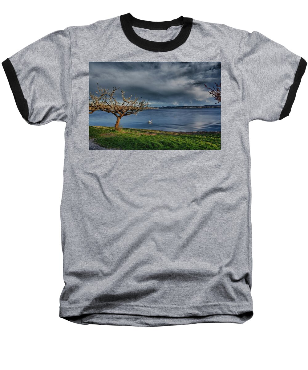 Animal Baseball T-Shirt featuring the photograph Swan and tree by Roberto Pagani