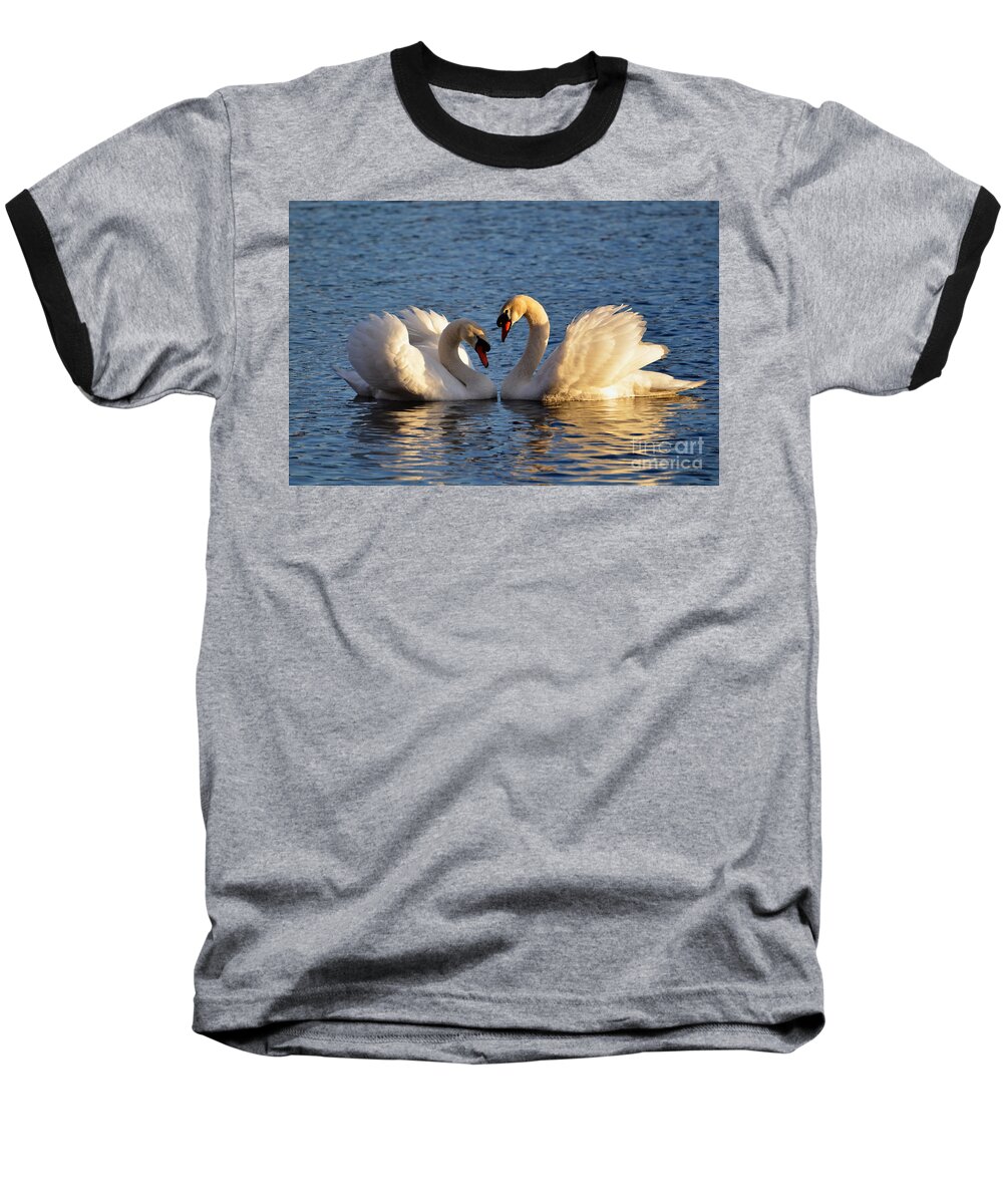 Swan Baseball T-Shirt featuring the photograph Swan heart by Mats Silvan