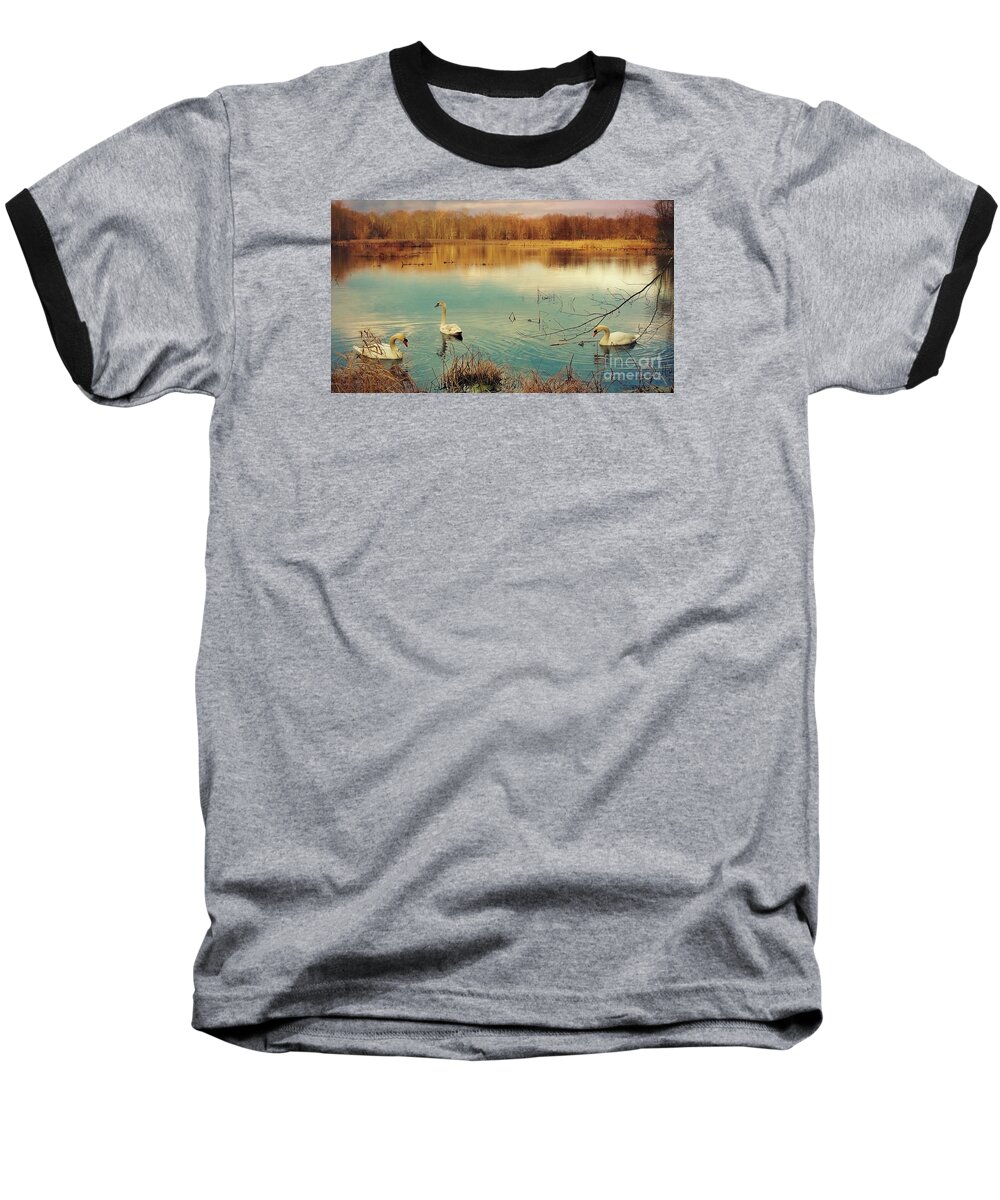 Swan Baseball T-Shirt featuring the photograph Swan Lake by Beth Ferris Sale