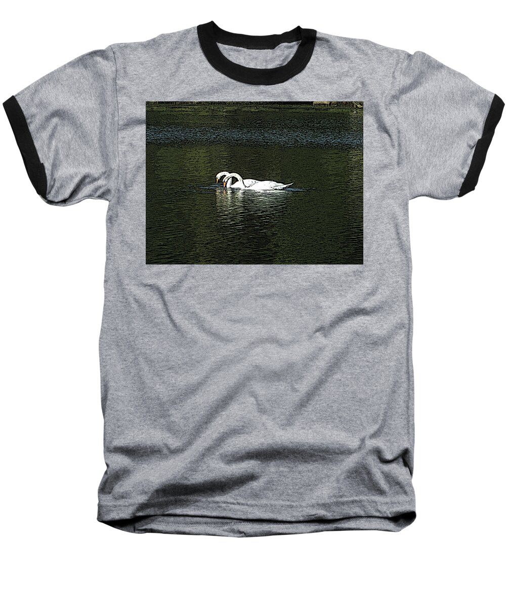 Swans Baseball T-Shirt featuring the photograph Swans by Kevin Caudill