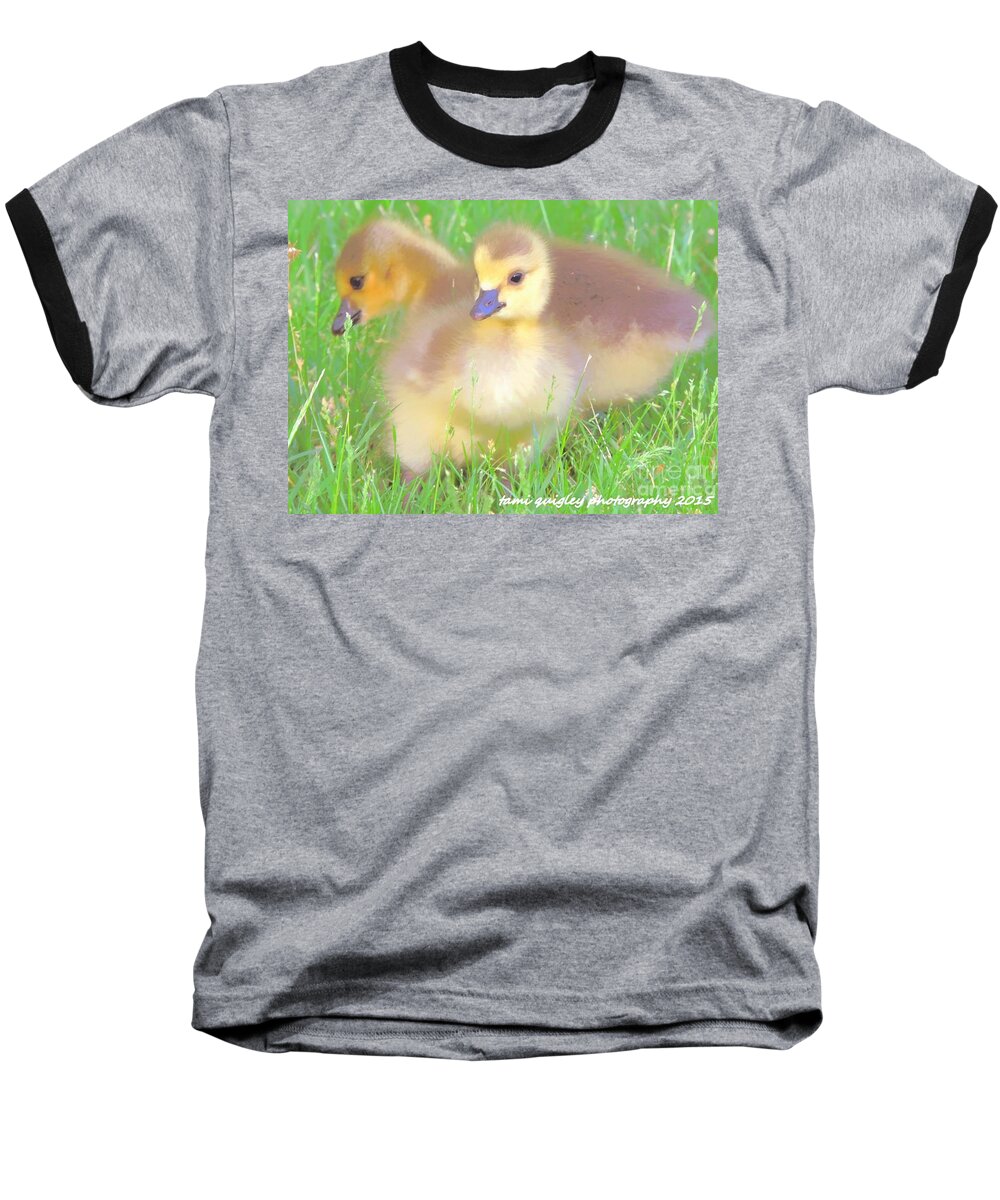 Goslings Baseball T-Shirt featuring the photograph Sweetness In The Grass by Tami Quigley
